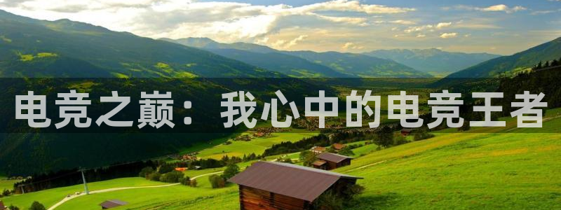 雷火电竞技平台：电竞之巅：我心中的电竞王者