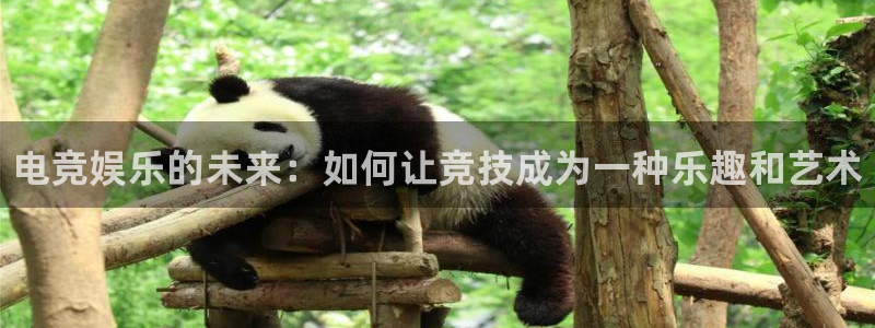 雷火电竞,亚洲电竞先驱：电竞娱乐的未来：如何让竞技成为一种乐趣和艺术