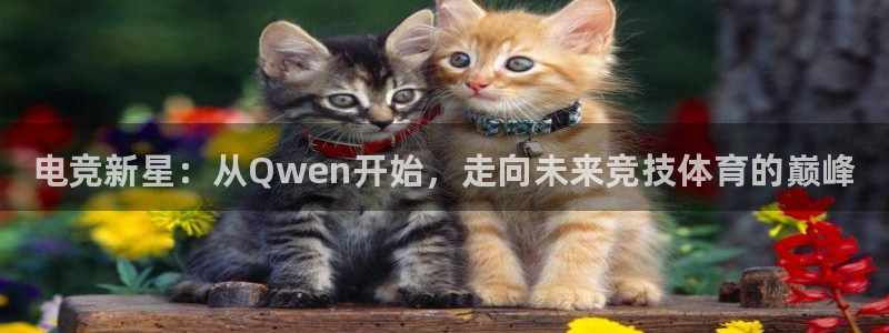 雷火电竞官网首页登录：电竞新星：从Qwen开始，走向未来竞技体育的巅峰